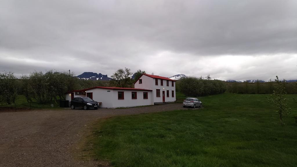 Fossardalur Guesthouse Djúpivogur Exterior foto